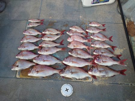 FISHING RISKY 釣果