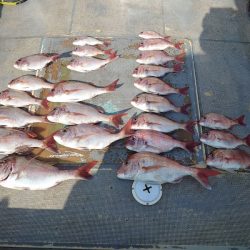 FISHING RISKY 釣果