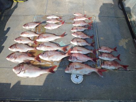 FISHING RISKY 釣果