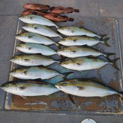 FISHING RISKY 釣果