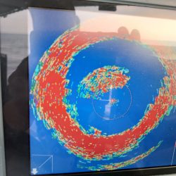 FISHING RISKY 釣果