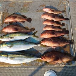 FISHING RISKY 釣果