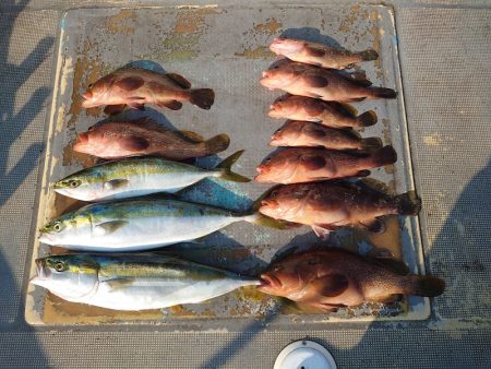 FISHING RISKY 釣果