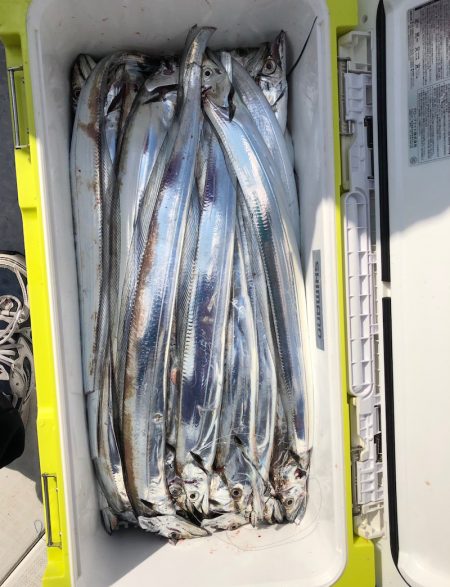 フィッシング　キッタカ 釣果