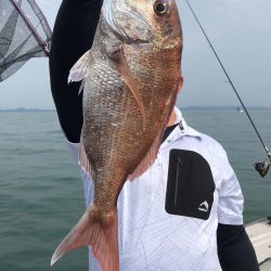 フィッシング キッタカ 釣果