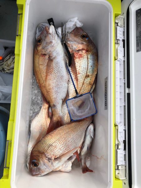 フィッシング キッタカ 釣果