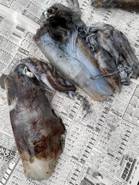 あみや渡船 釣果