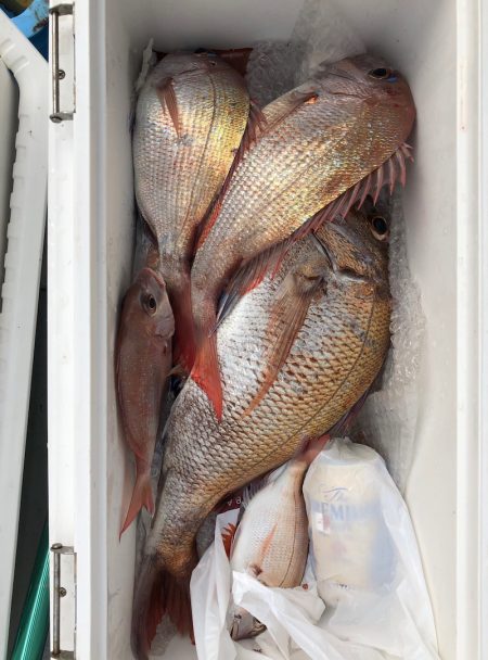 フィッシング キッタカ 釣果