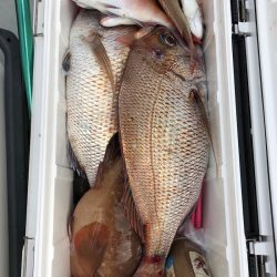 フィッシング キッタカ 釣果