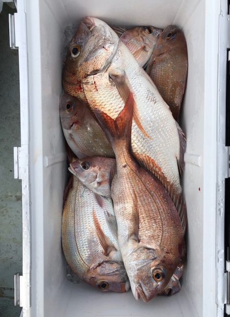 フィッシング キッタカ 釣果