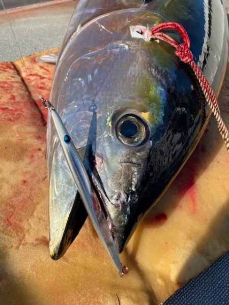 へいみつ丸 釣果