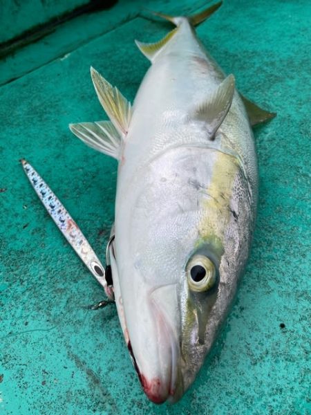 広進丸 釣果