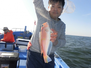 鯛紅丸 釣果