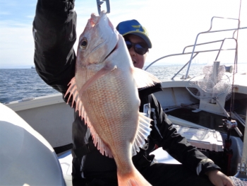 鯛紅丸 釣果