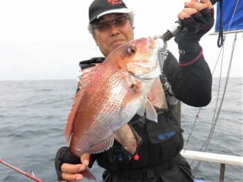 鯛紅丸 釣果