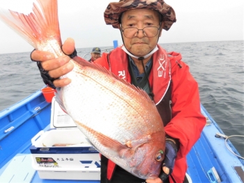 鯛紅丸 釣果