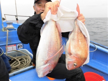 鯛紅丸 釣果