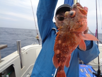 鯛紅丸 釣果