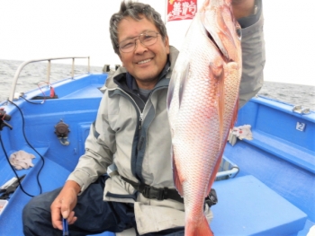 鯛紅丸 釣果