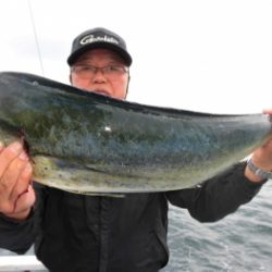 鯛紅丸 釣果