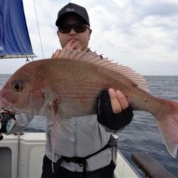 鯛紅丸 釣果
