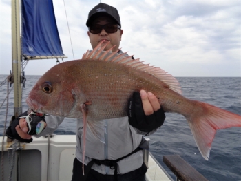 鯛紅丸 釣果