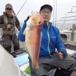 鯛紅丸 釣果
