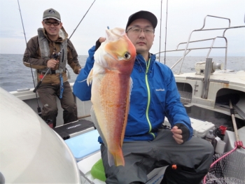 鯛紅丸 釣果