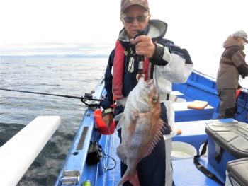 鯛紅丸 釣果