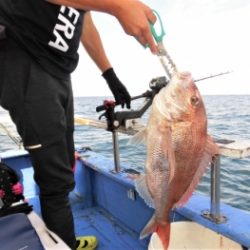 鯛紅丸 釣果
