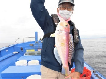 鯛紅丸 釣果