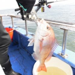 鯛紅丸 釣果