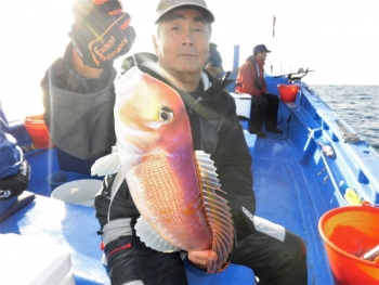 鯛紅丸 釣果