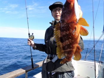 鯛紅丸 釣果