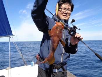 鯛紅丸 釣果