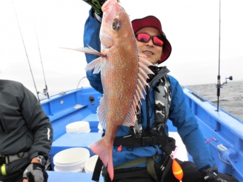 鯛紅丸 釣果