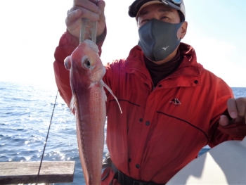 鯛紅丸 釣果