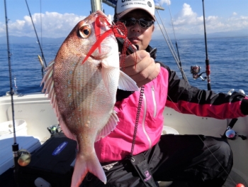 鯛紅丸 釣果