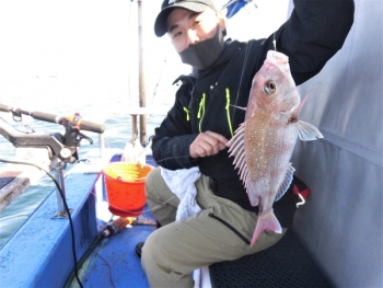 鯛紅丸 釣果