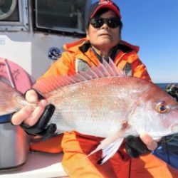 鯛紅丸 釣果