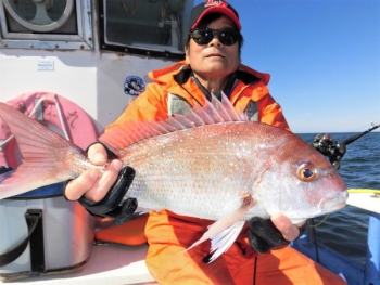 鯛紅丸 釣果