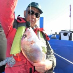 鯛紅丸 釣果