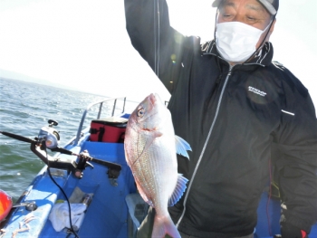 鯛紅丸 釣果