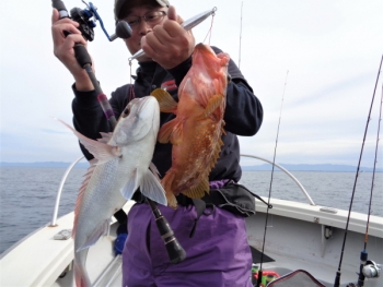 鯛紅丸 釣果