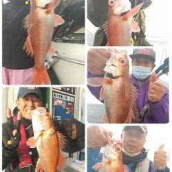 金剛丸 釣果