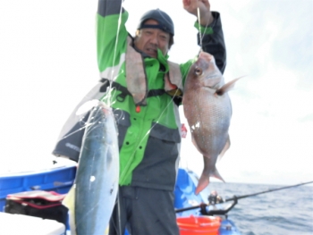 鯛紅丸 釣果