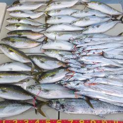 Hit Rush(ヒット ラッシュ) 釣果