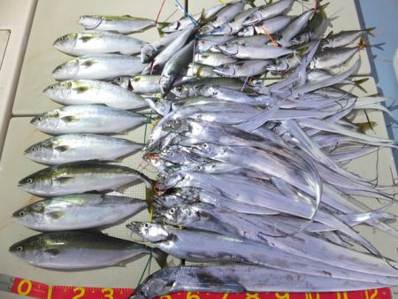 Hit Rush(ヒット ラッシュ） 釣果…