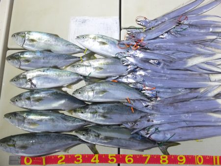 Hit Rush(ヒット ラッシュ） 釣果…