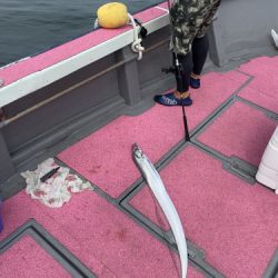 釣船 浦島太郎 釣果